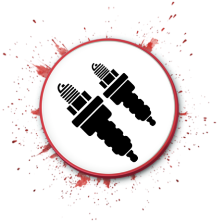 Picture for category IGNITION COILS & SPARK PLUGS